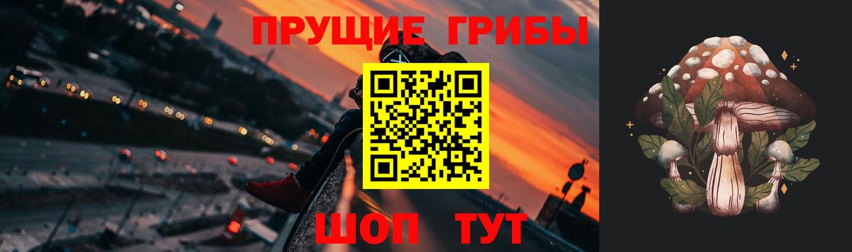 Галлюциногенные грибы GOLDEN TEACHER  Вход с VPN  Камышлов  Галлюциногенные грибы мухоморы 